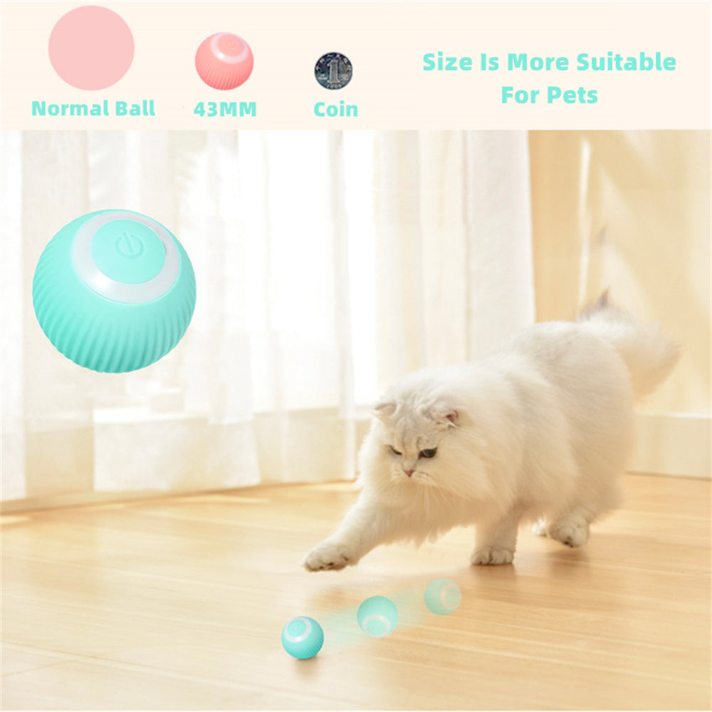 Cat Gravity Intelligent Rolling Ball Rokrisann