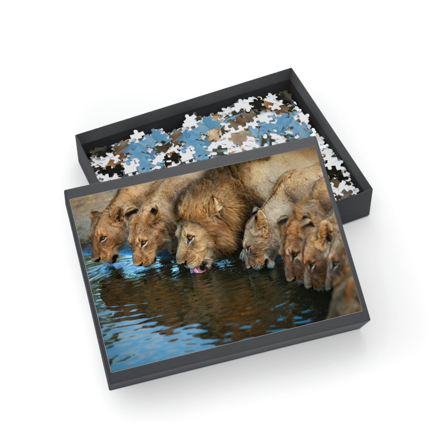 Puzzle (96, 252, 500, 1000-Piece)