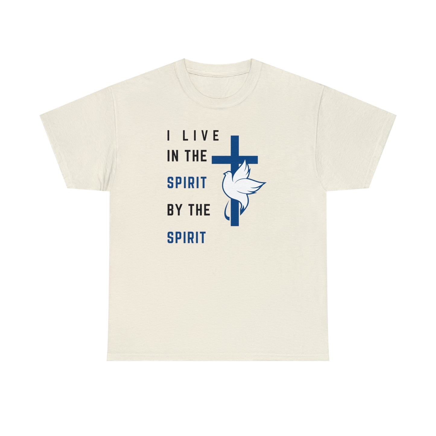 Christian Wear Unisex Heavy Cotton Tee