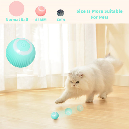 Cat Gravity Intelligent Rolling Ball