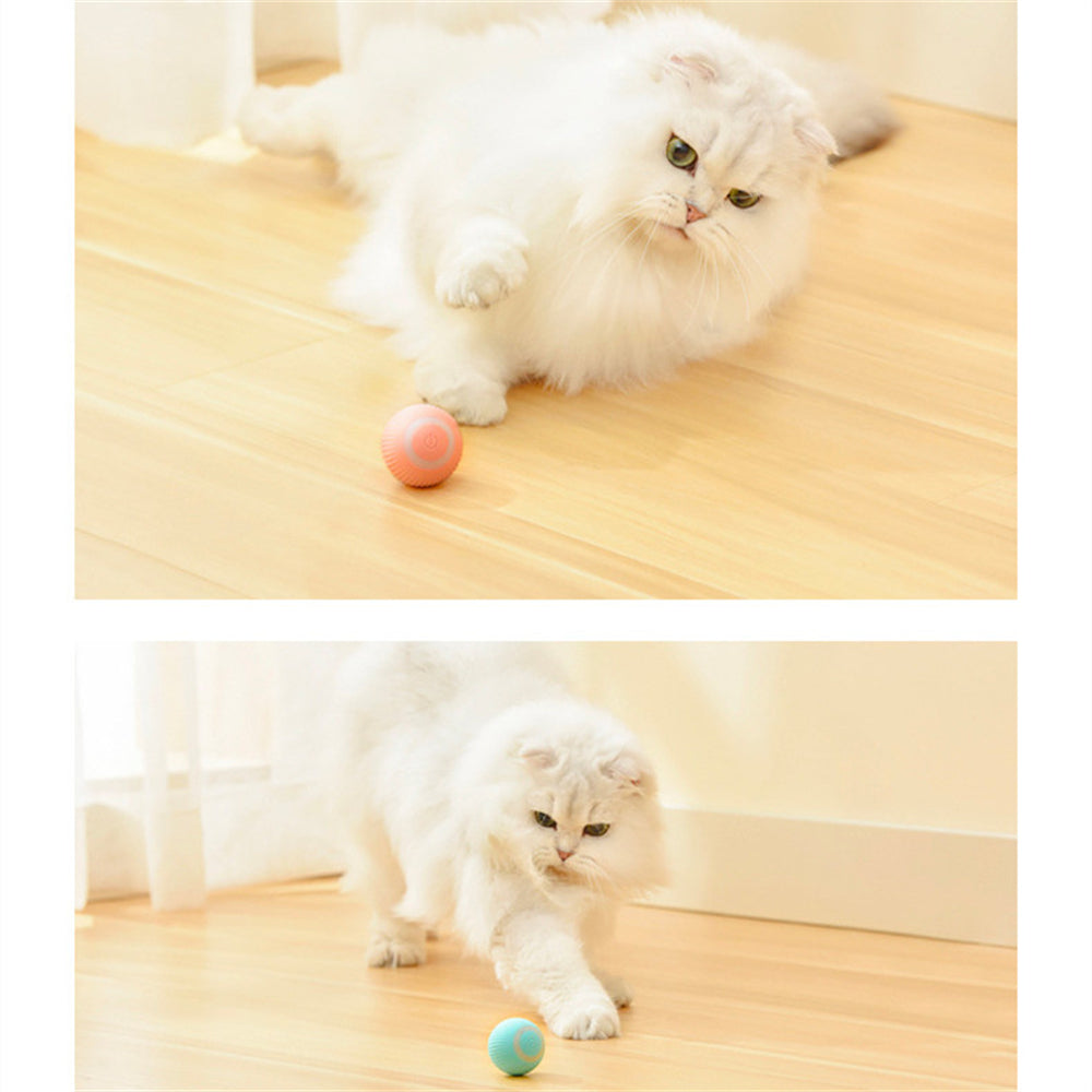 Cat Gravity Intelligent Rolling Ball