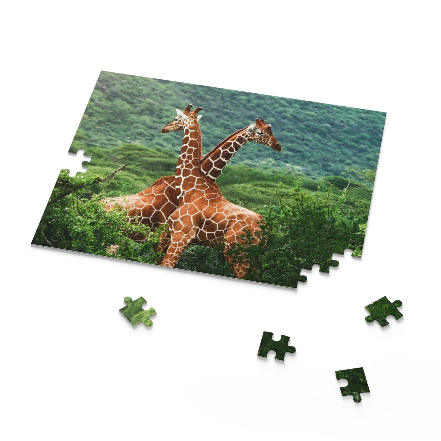 Puzzle (120, 252, 500-Piece)