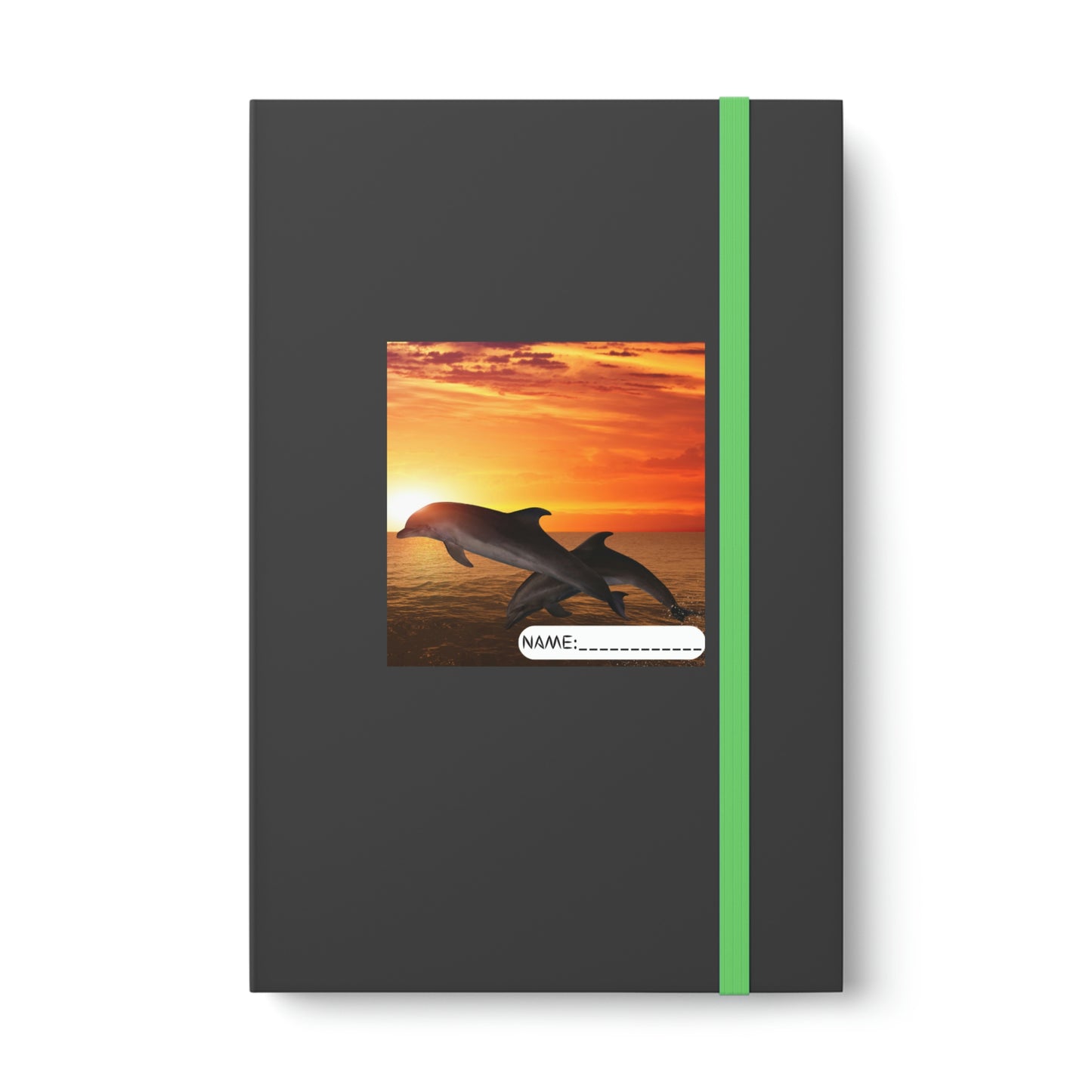 Color Contrast Notebook - Ruled