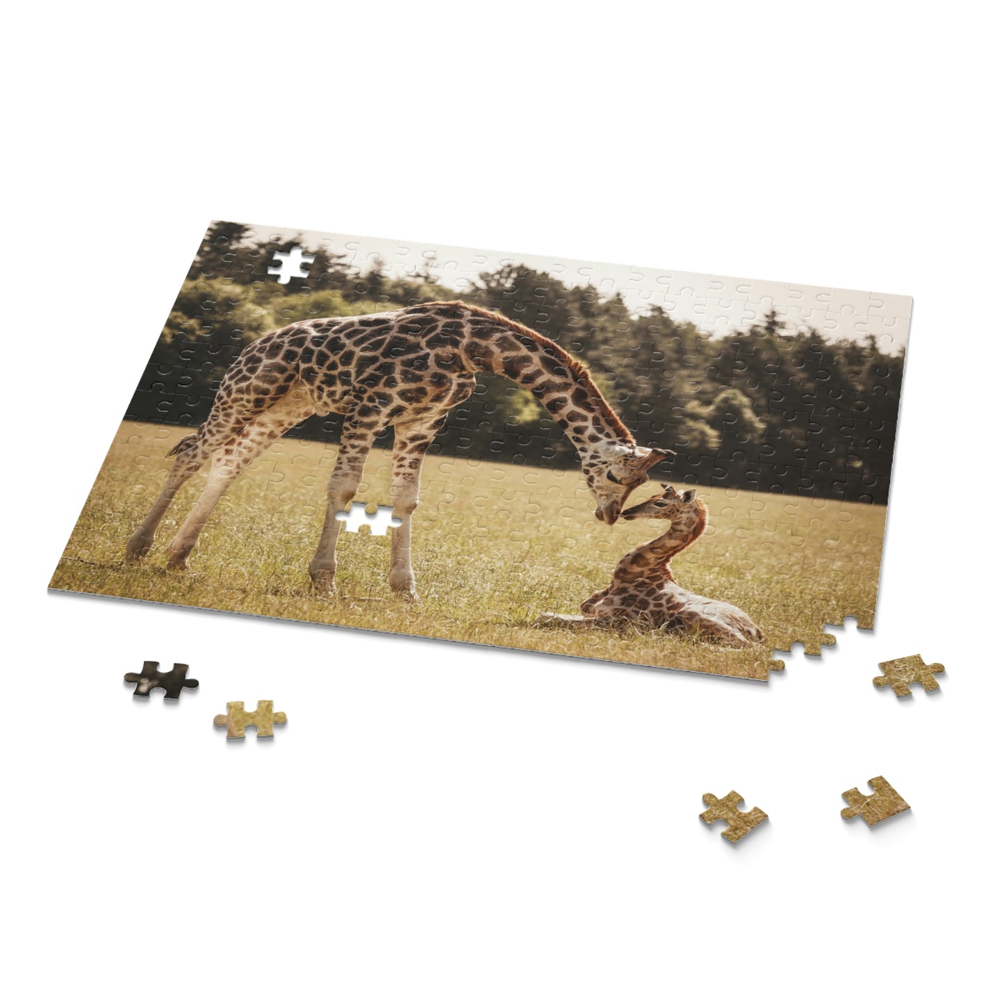 Puzzle (120, 252, 500-Piece)