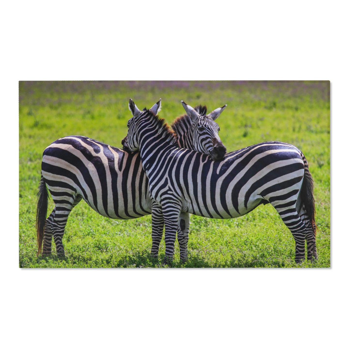 Area Rugs Zebra