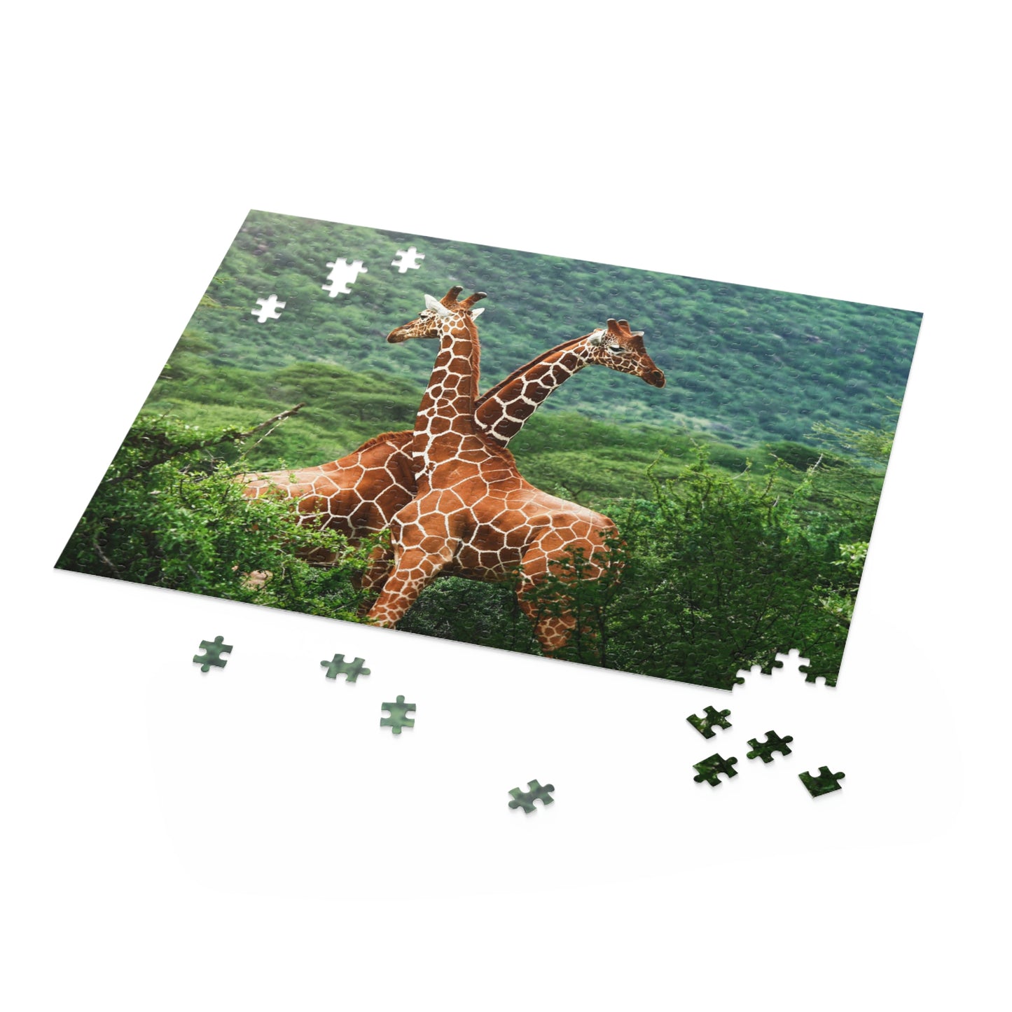 Puzzle (120, 252, 500-Piece)