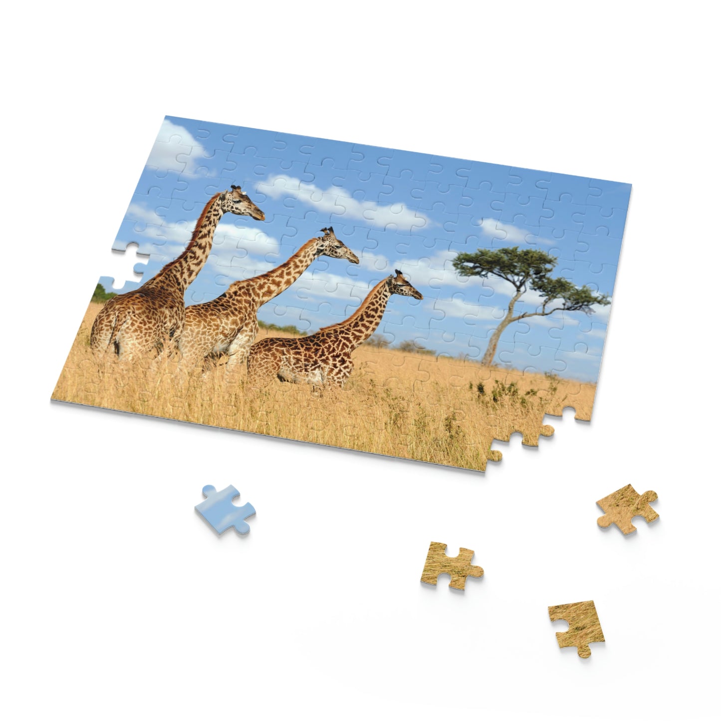 Puzzle (120, 252, 500-Piece)