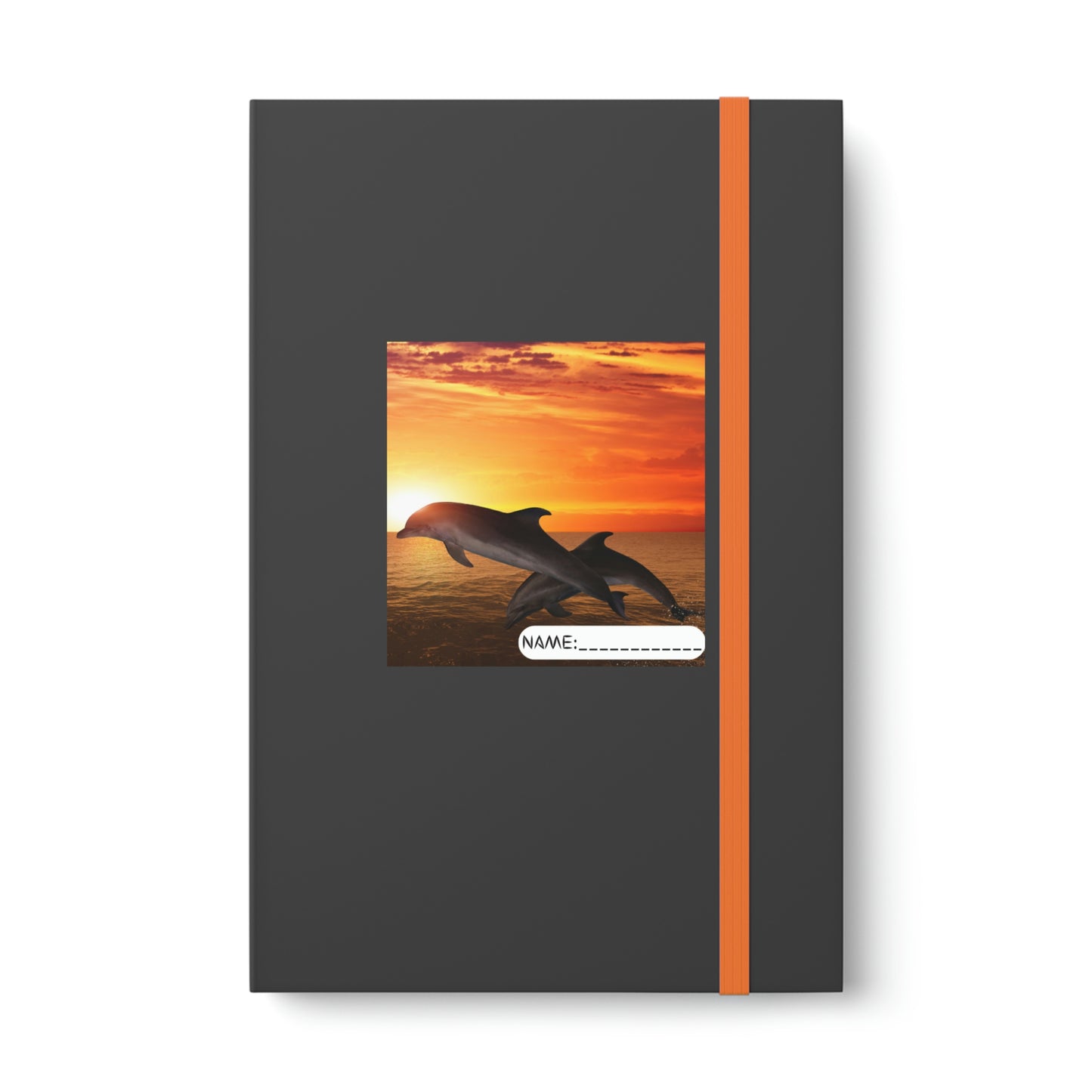 Color Contrast Notebook - Ruled