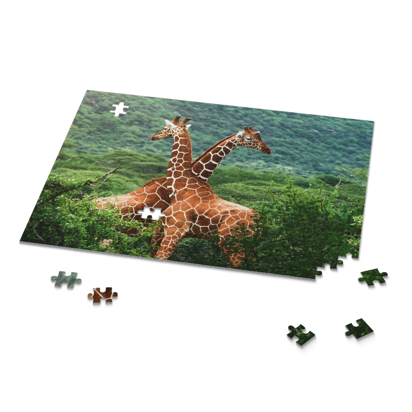 Puzzle (120, 252, 500-Piece)