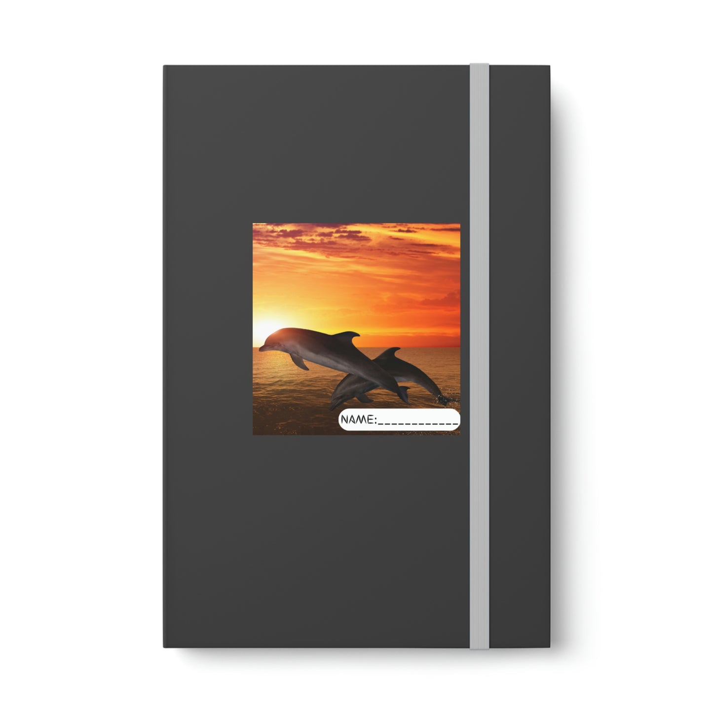 Color Contrast Notebook - Ruled