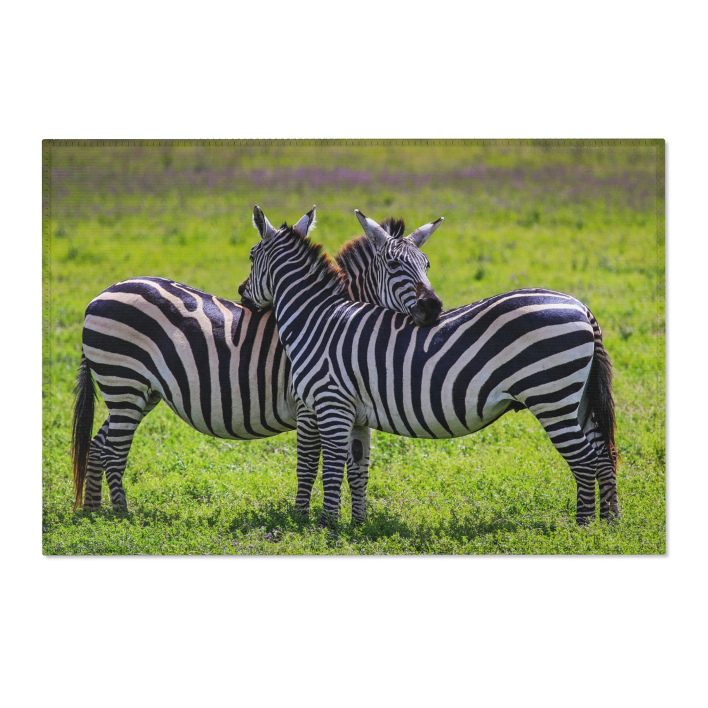 Area Rugs Zebra