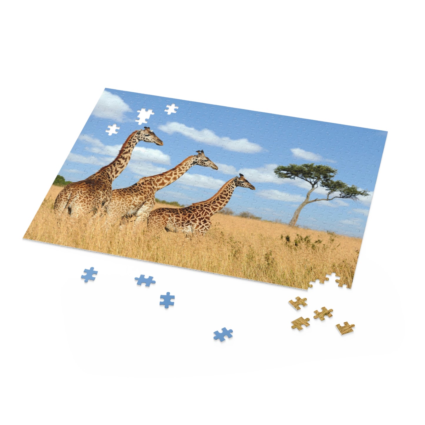 Puzzle (120, 252, 500-Piece)