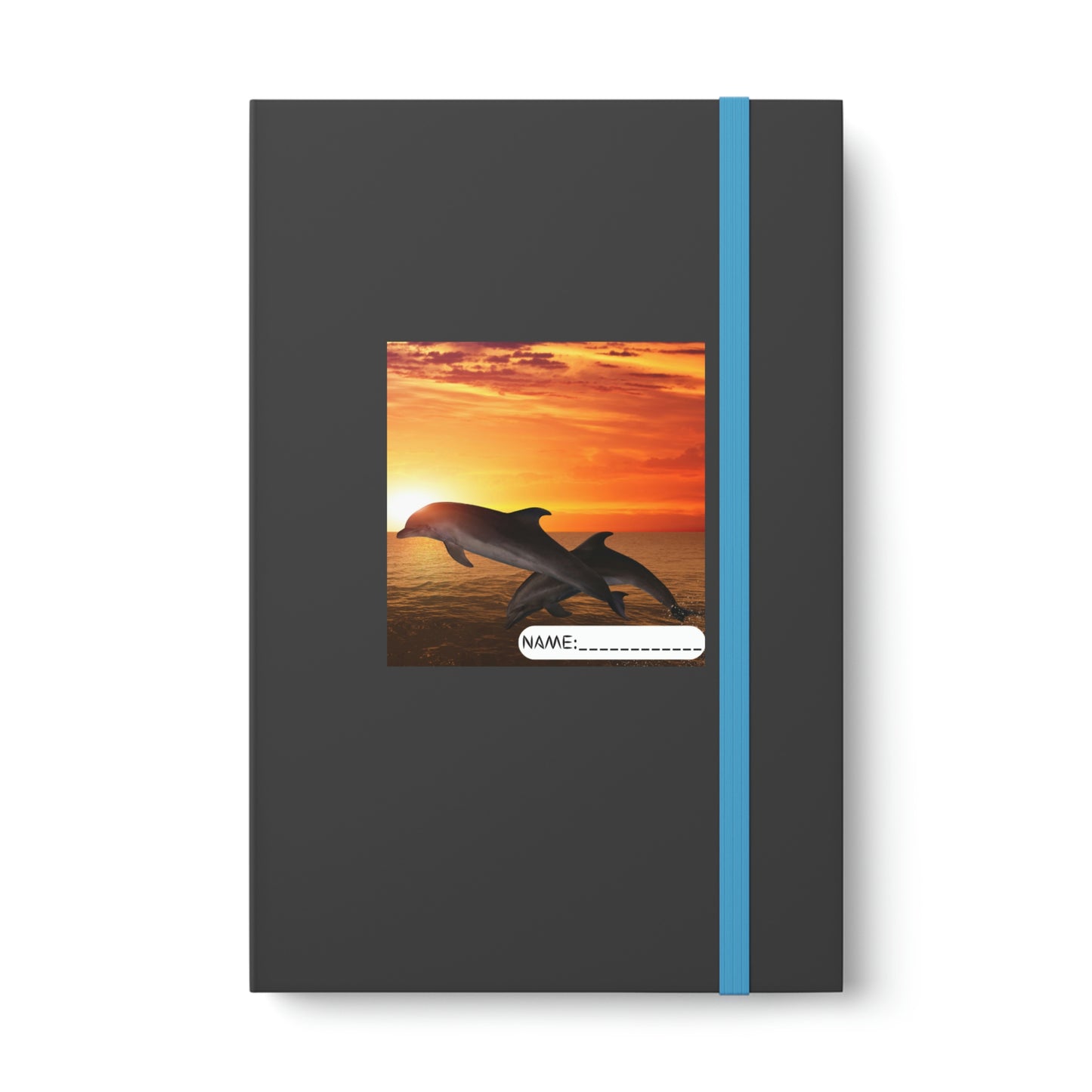 Color Contrast Notebook - Ruled