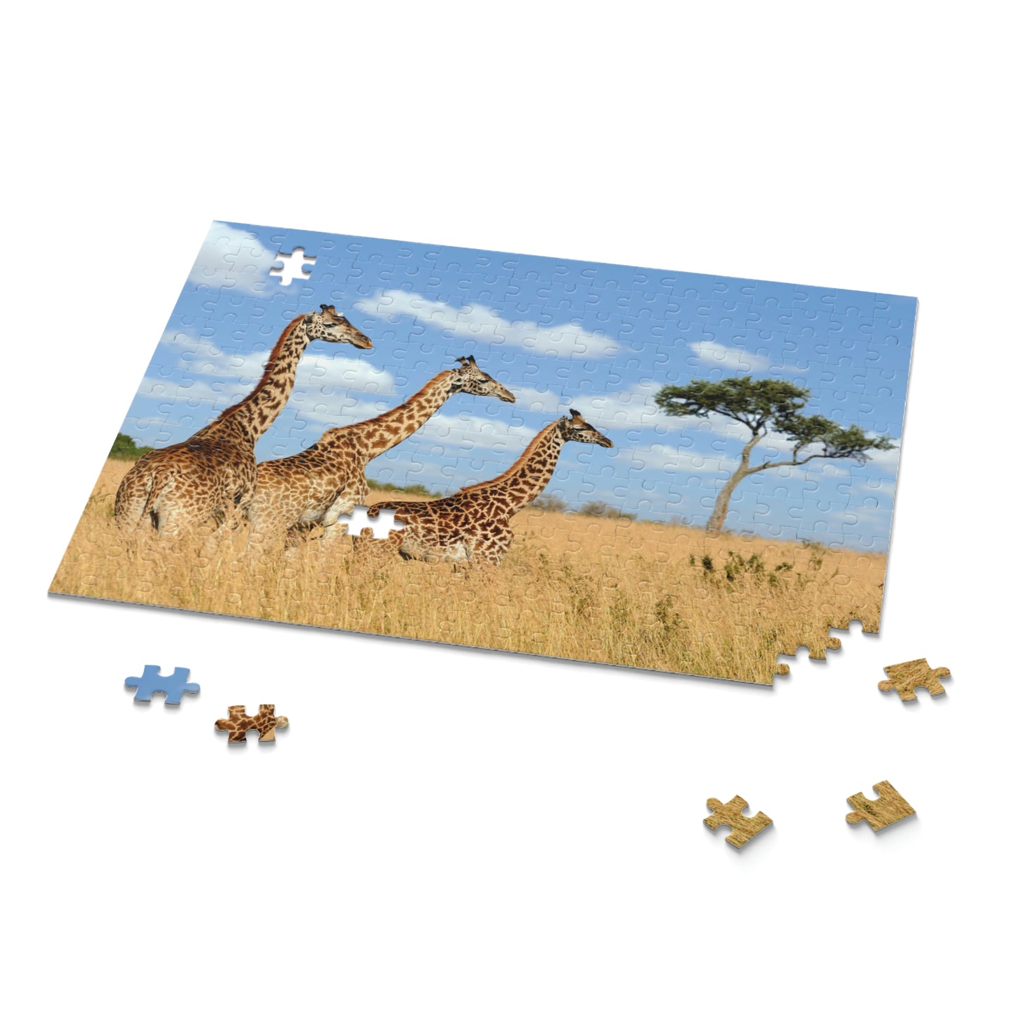 Puzzle (120, 252, 500-Piece)