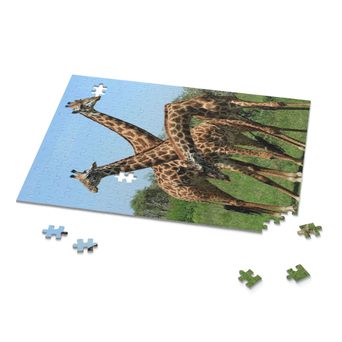 Puzzle (120, 252, 500-Piece)