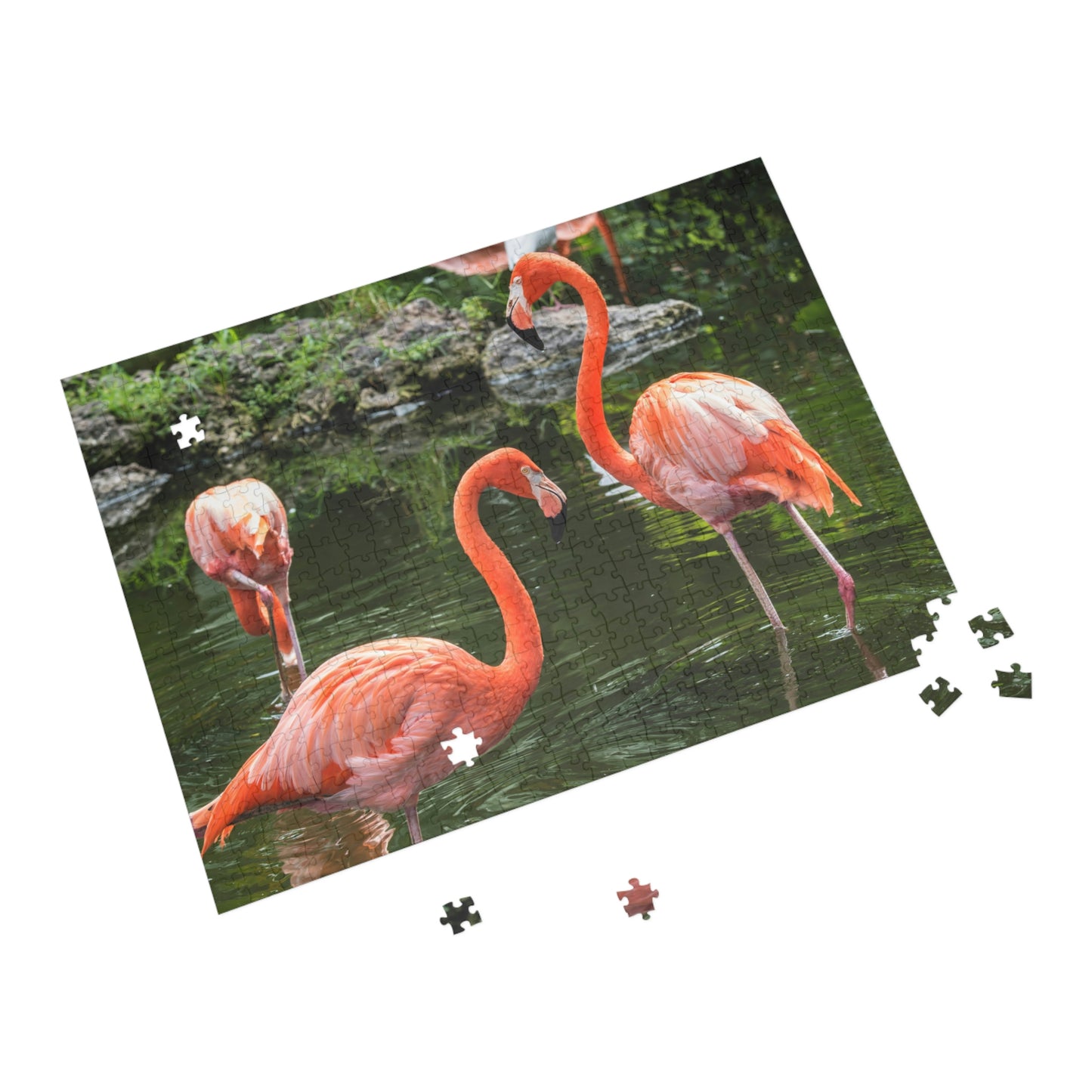 Puzzle (96, 252, 500, 1000-Piece)