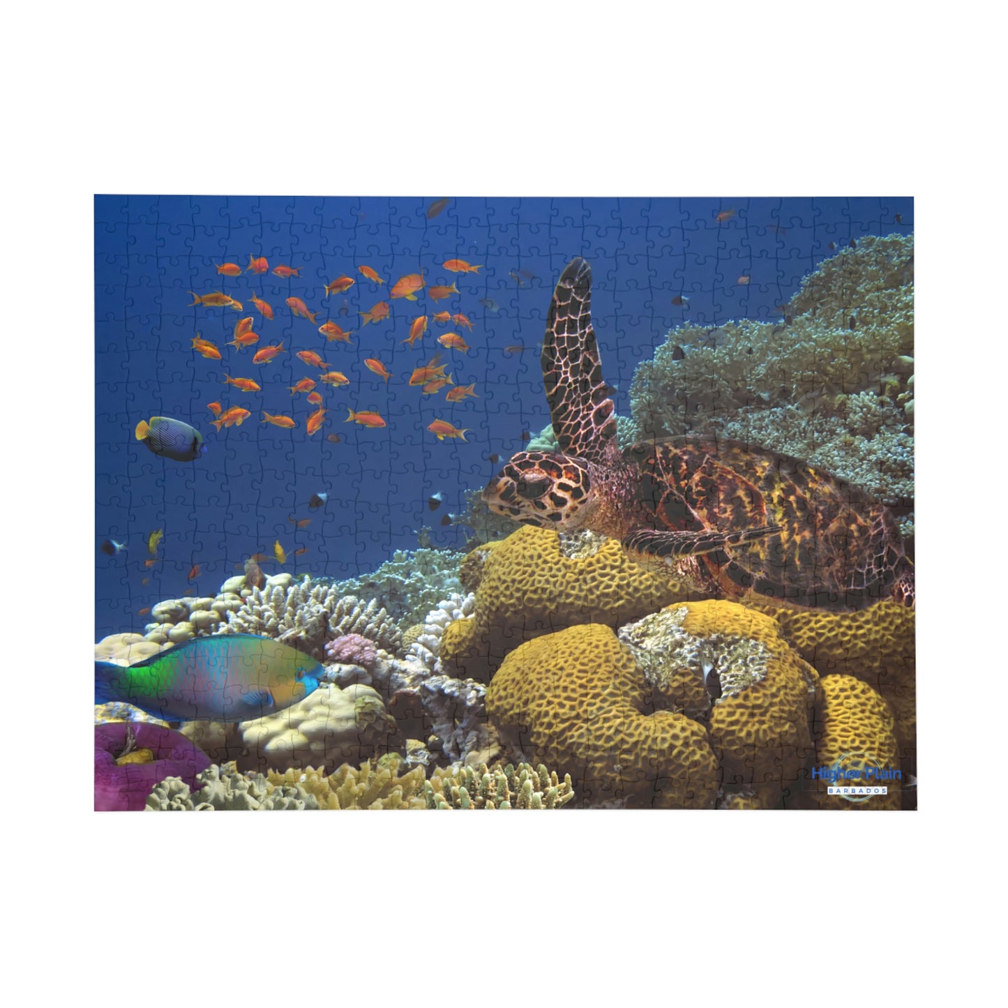 Puzzle (96, 252, 500, 1000-Piece)