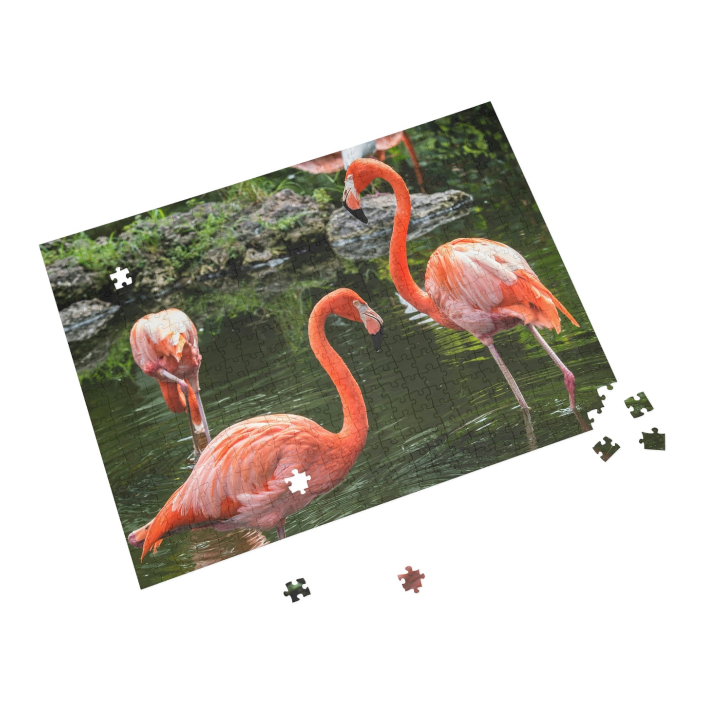 Puzzle (96, 252, 500, 1000-Piece)